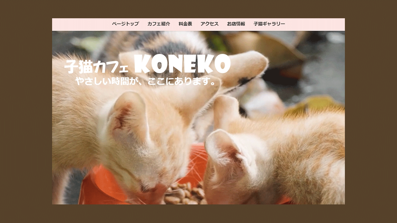 子猫カフェ